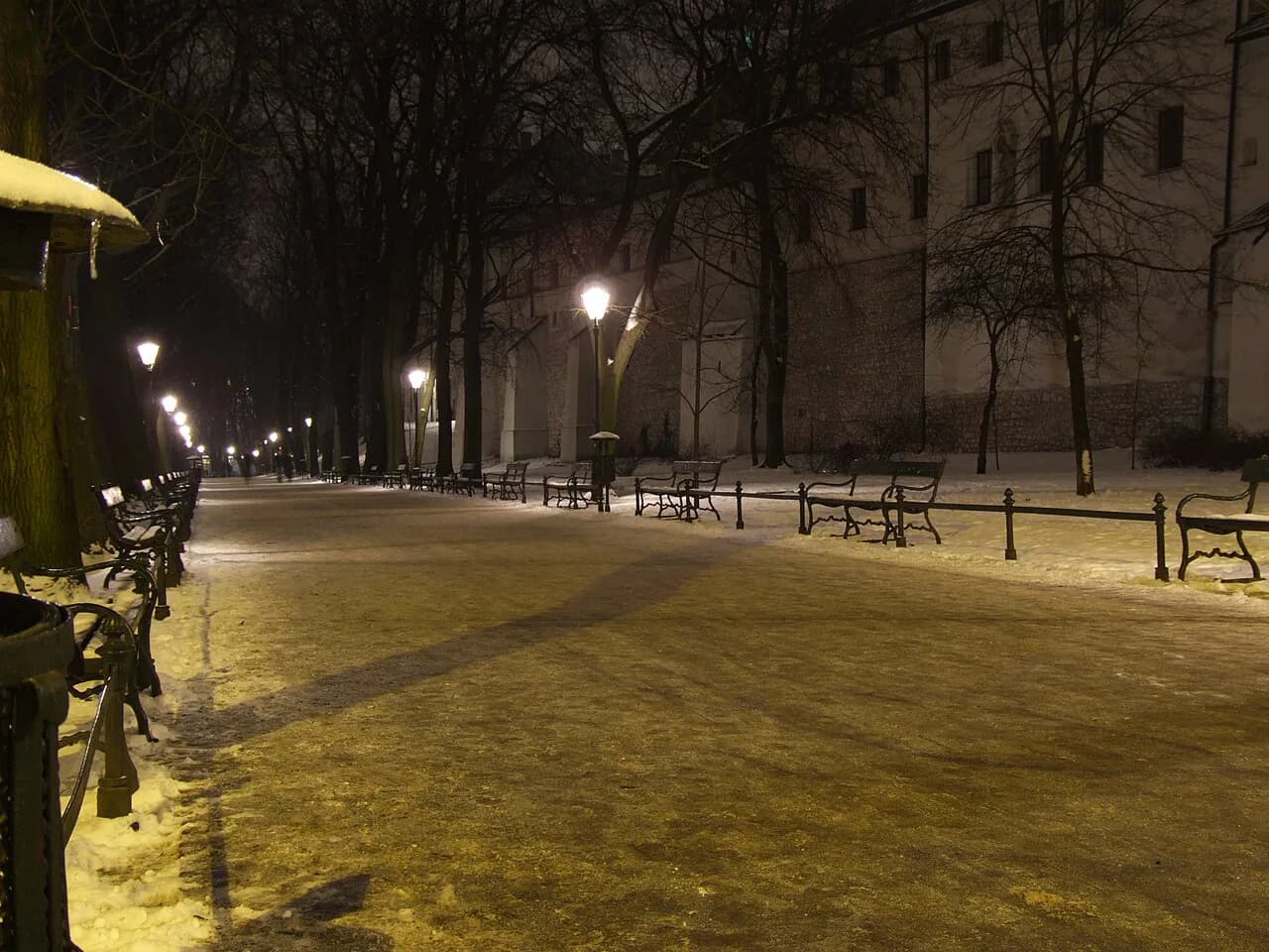 Is Krakow Public Transport Safe? A Tourist's Guide to Trams & Buses
