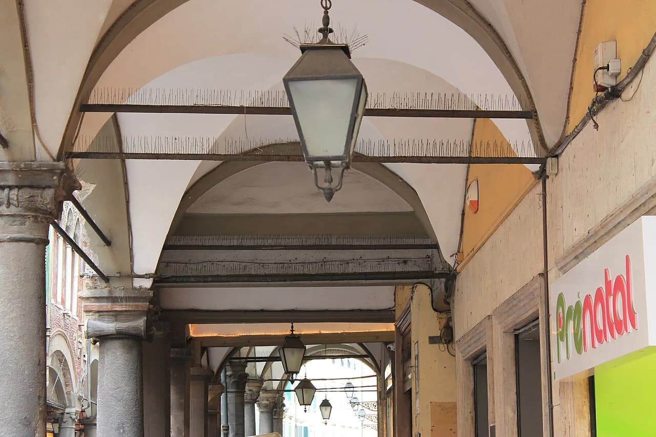 Pisa Tourist Scams: 2026 Safety Guide & Prevention Tips